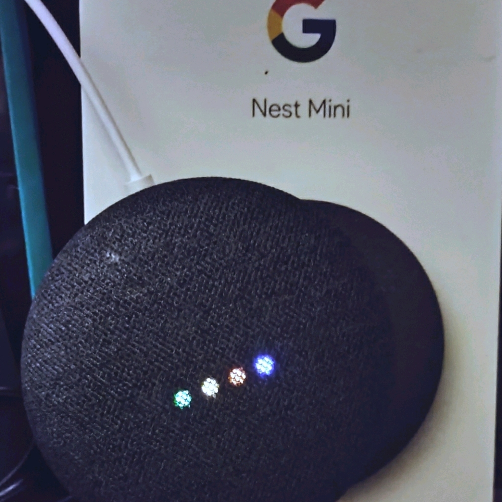 Google Nest Mini